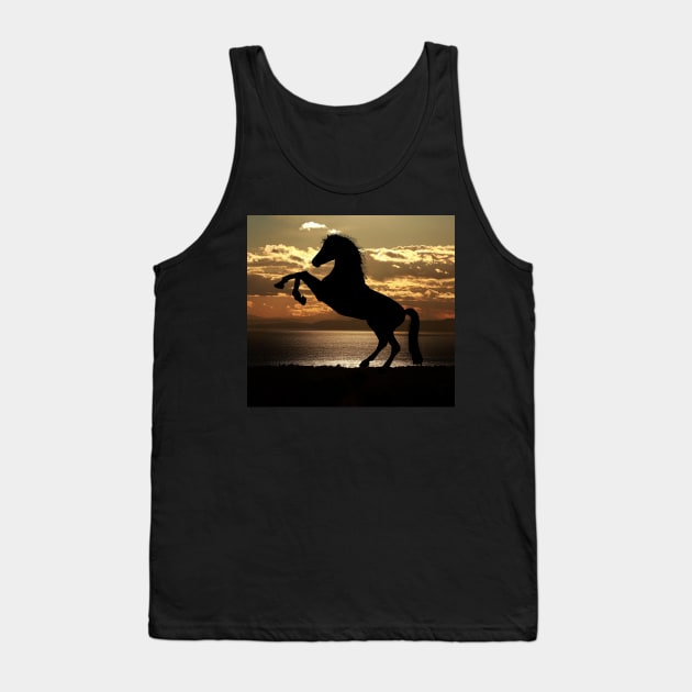 Beautiful Horse On The Beach Tank Top by dyana123